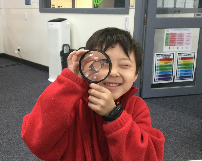 /uploaded_files/media/gallery/1763346258Screenshot 2025-11-17 132227.png